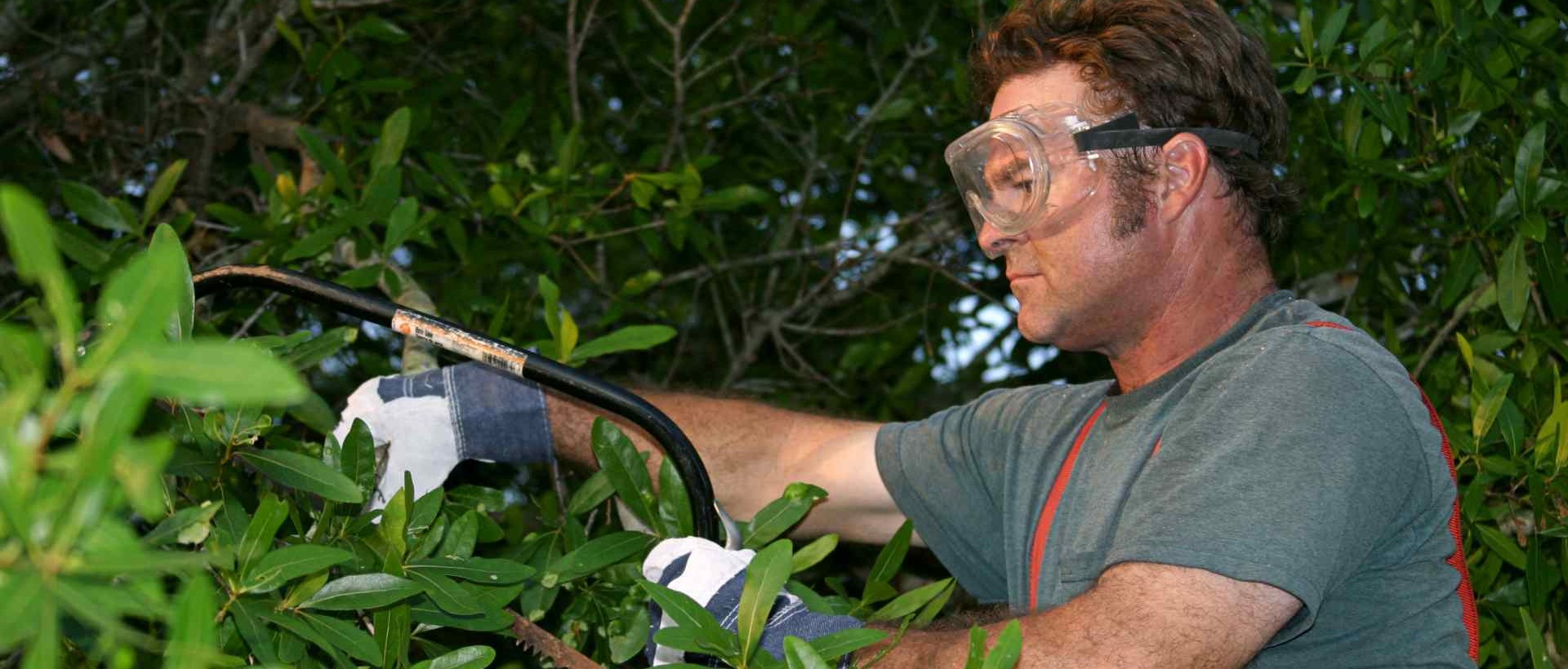 garden clearance WC1